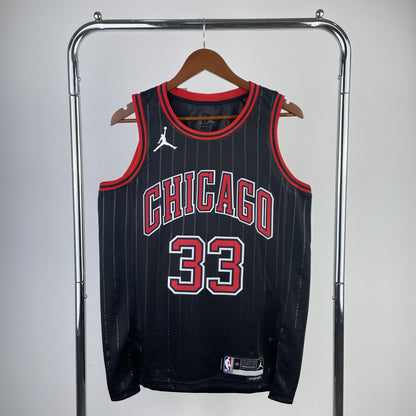 Limited Edition Bulls Jerseys: Rose, LaVine, Jordan